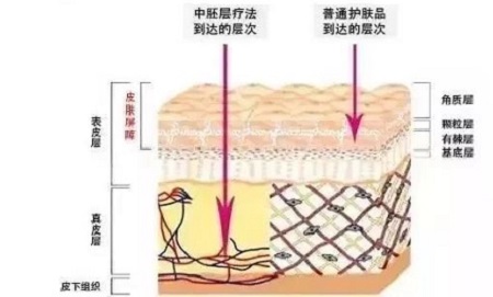 才是SK2+HR+Lamer组成的王炸！